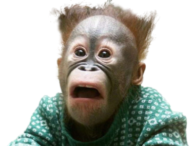 Affe